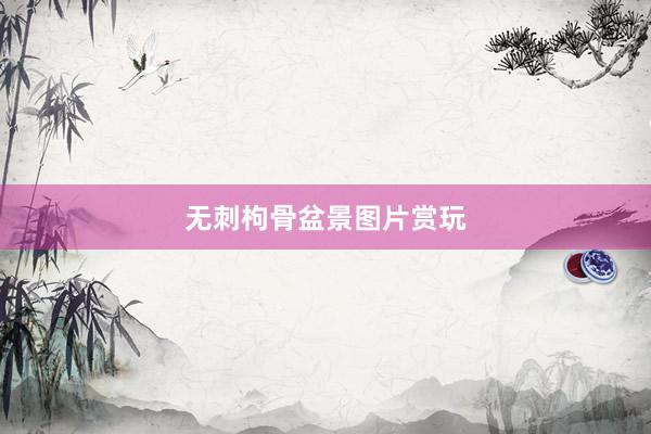 无刺枸骨盆景图片赏玩