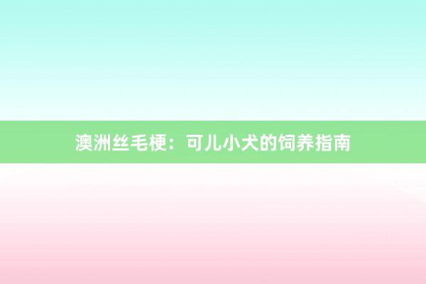 澳洲丝毛梗：可儿小犬的饲养指南