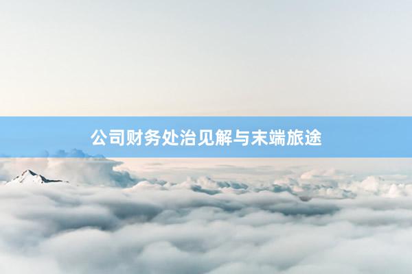 公司财务处治见解与末端旅途